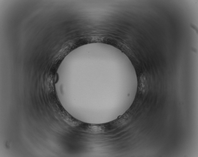 X0000100490522200807031919