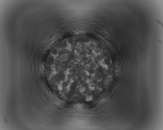 X0000100490523200807031919