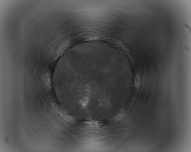 X0000100490524200807031919