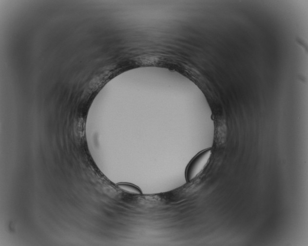 X0000100490525200807031919