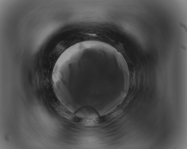 X0000100490526200807031919