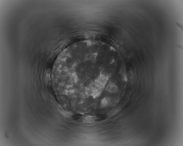 X0000100490527200807031919