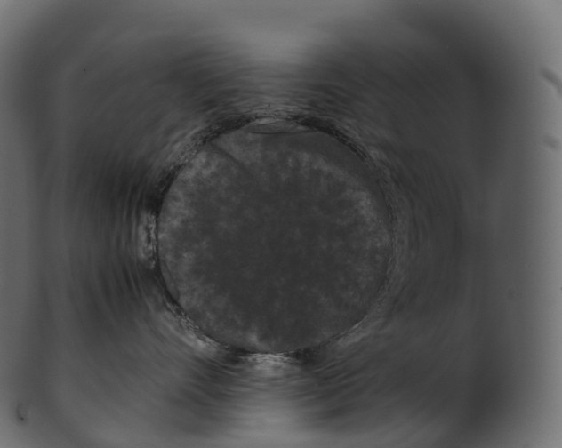 X0000100490528200807031919