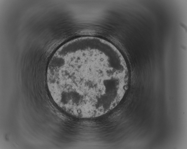 X0000100490529200807031918