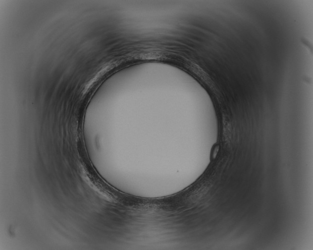 X0000100490530200807031918