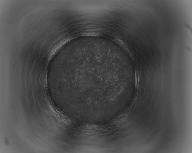 X0000100490531200807031918