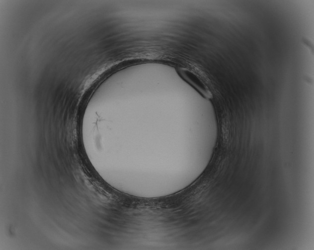 X0000100490532200807031918