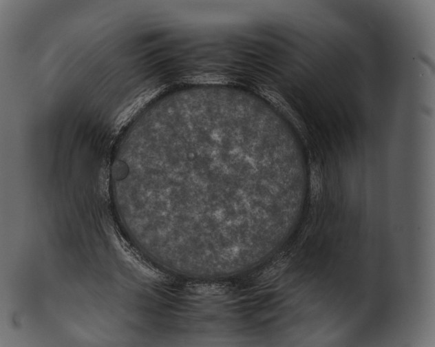 X0000100490533200807031918