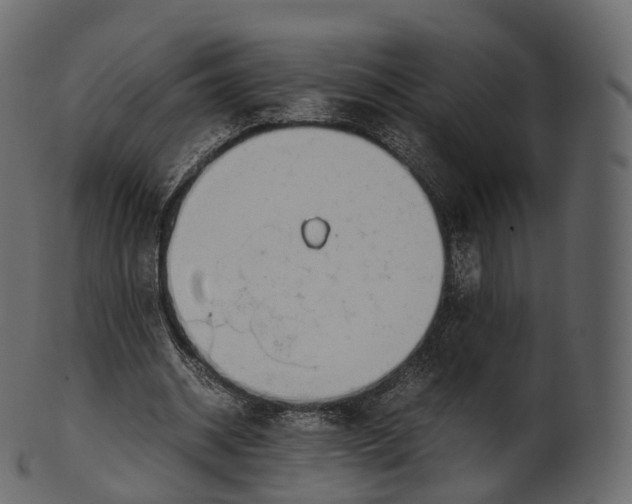 X0000100490534200807031918