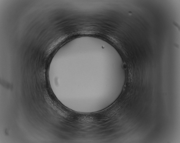 X0000100490535200807031918