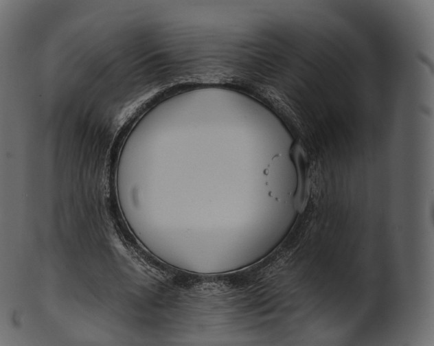 X0000100490536200807031918