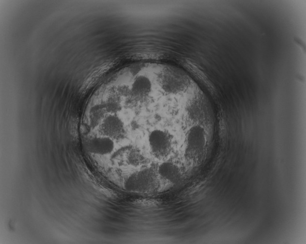 X0000100490537200807031918