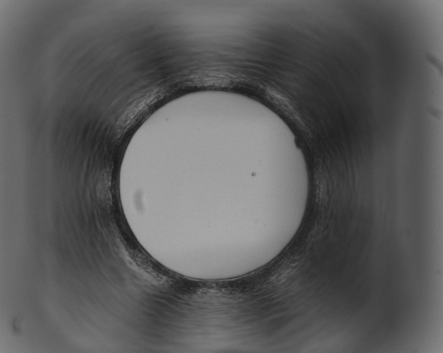 X0000100490538200807031918