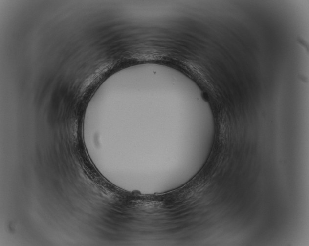 X0000100490539200807031918