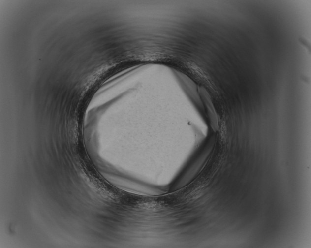 X0000100490540200807031918