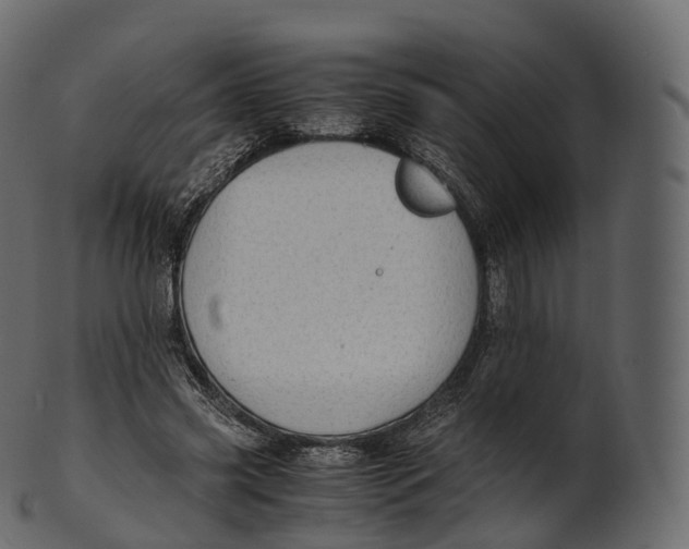 X0000100490541200807031918