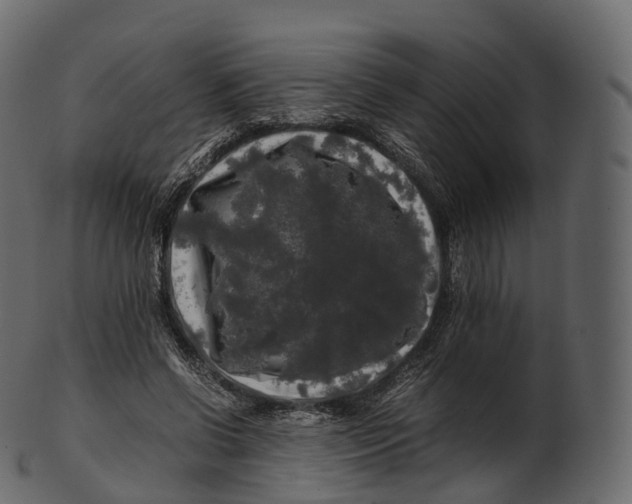 X0000100490542200807031918