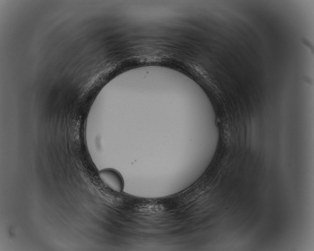 X0000100490543200807031918