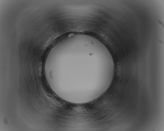 X0000100490544200807031918