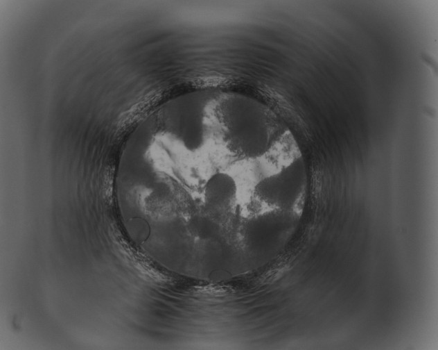 X0000100490545200807031918