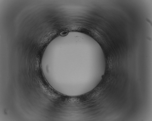 X0000100490546200807031918