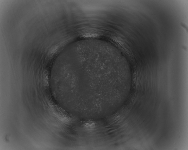 X0000100490547200807031918