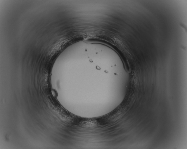 X0000100490548200807031918