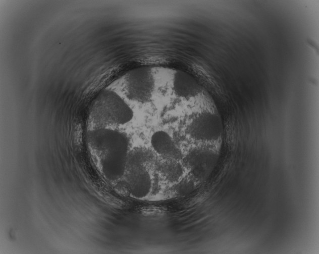 X0000100490549200807031918