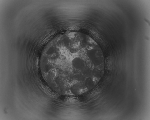 X0000100490550200807031918