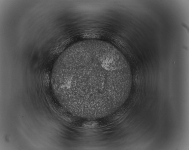 X0000100490551200807031919