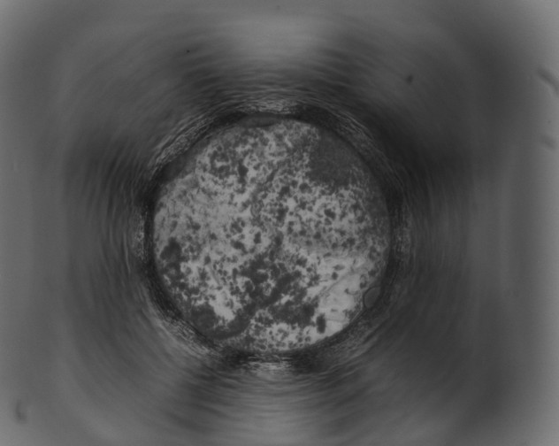 X0000100490552200807031919