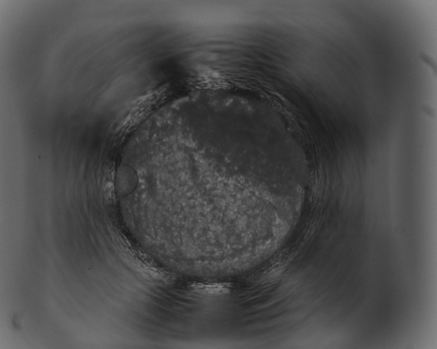 X0000100490553200807031919