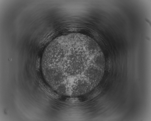 X0000100490554200807031919