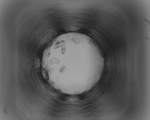 X0000100490555200807031919