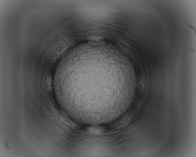 X0000100490556200807031919