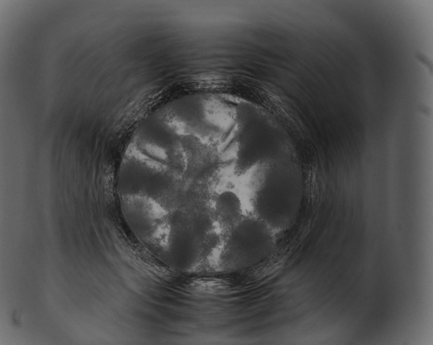 X0000100490557200807031919