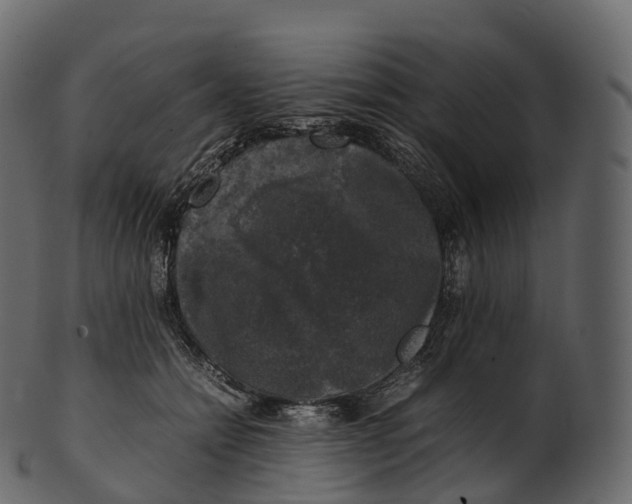 X0000100490558200807031919