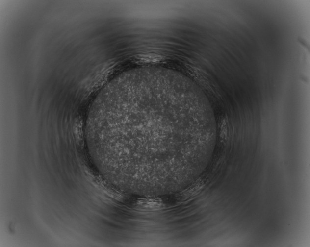 X0000100490559200807031919