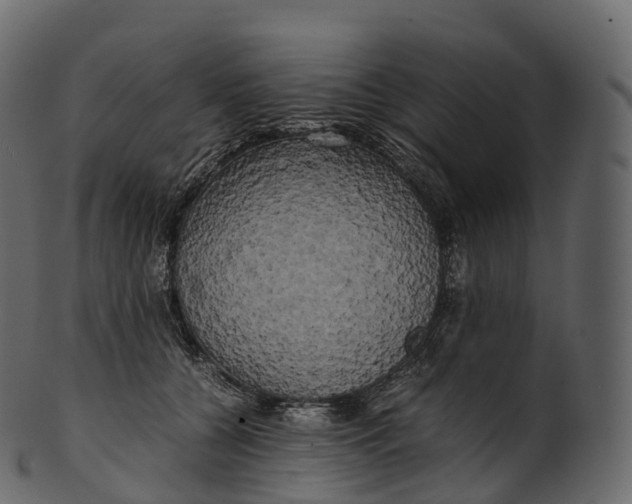 X0000100490560200807031919