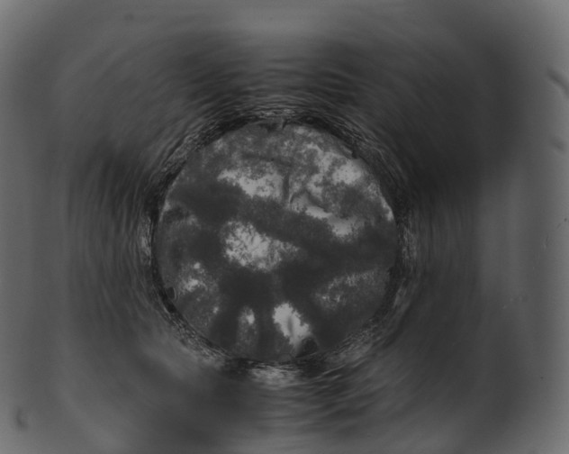 X0000100490561200807031919