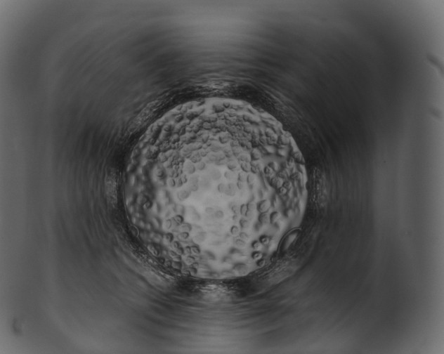 X0000100490562200807031919