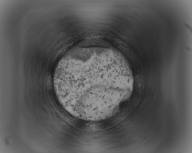 X0000100490564200807031919