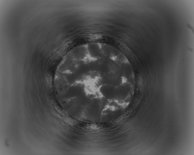 X0000100490565200807031919