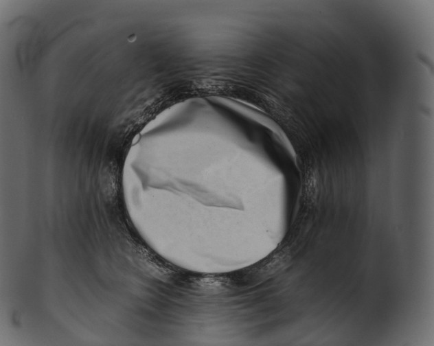 X0000100490566200807031919