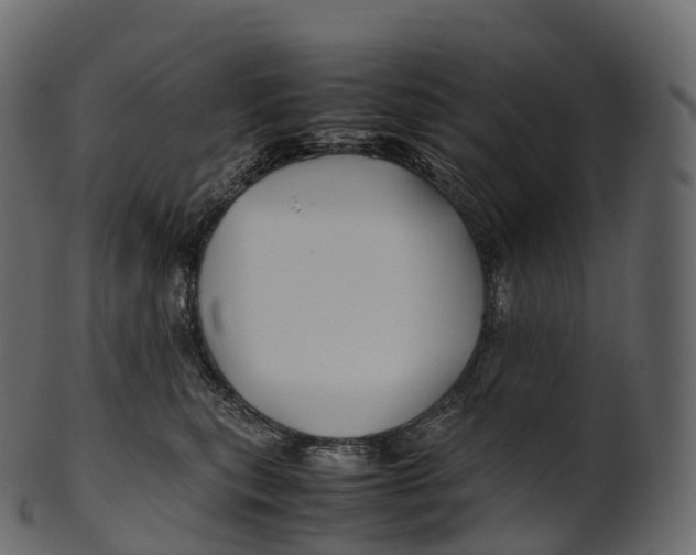 X0000100490567200807031919