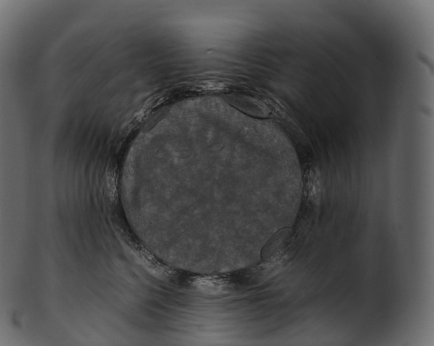 X0000100490568200807031919