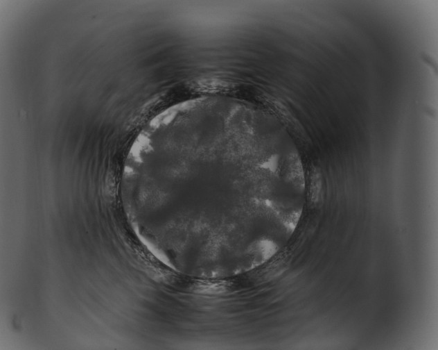 X0000100490569200807031919