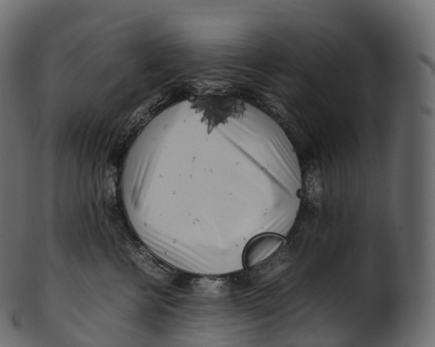 X0000100490570200807031919