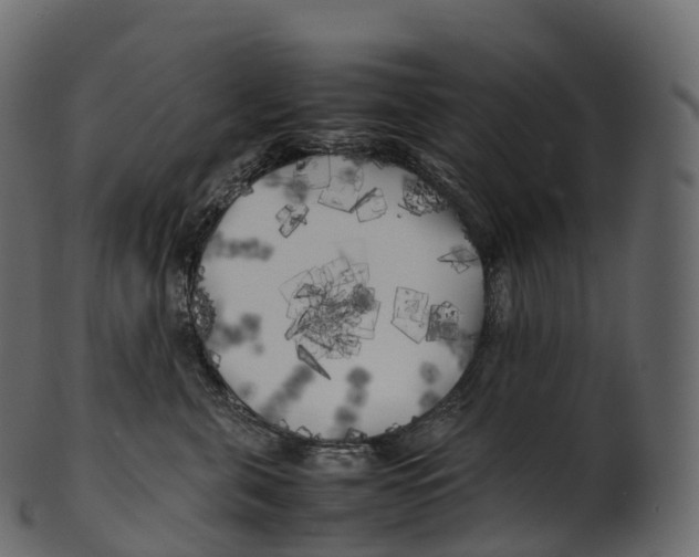 X0000100490571200807031919