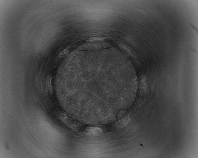 X0000100490572200807031919